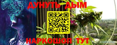 стаф Сланцы