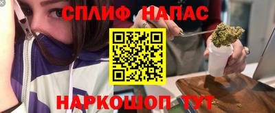 стаф Сланцы