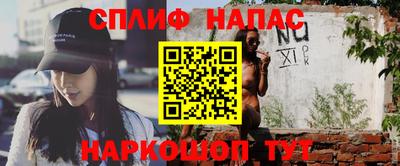 стаф Сланцы