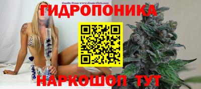 стаф Сланцы